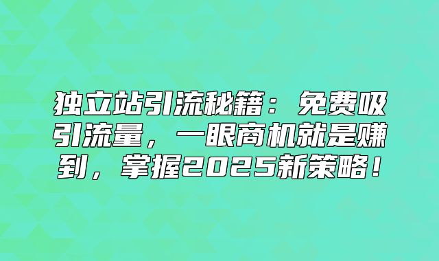 独立站引流秘籍：免费吸引流量，一眼商机就是赚到，掌握2025新策略！