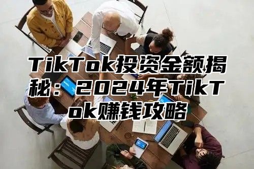 TikTok投资金额揭秘：2025年TikTok赚钱攻略
