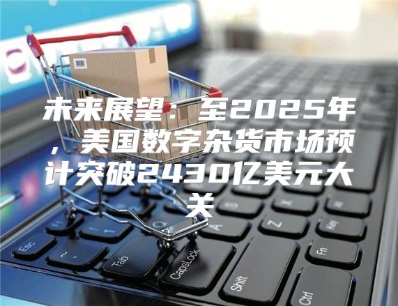 未来展望：至2025年，美国数字杂货市场预计突破2430亿美元大关