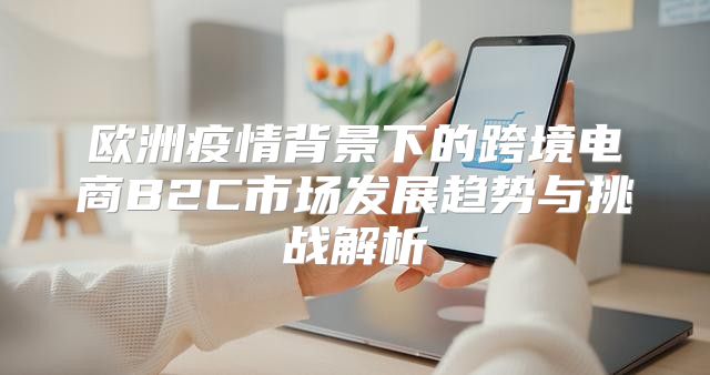 欧洲疫情背景下的跨境电商B2C市场发展趋势与挑战解析