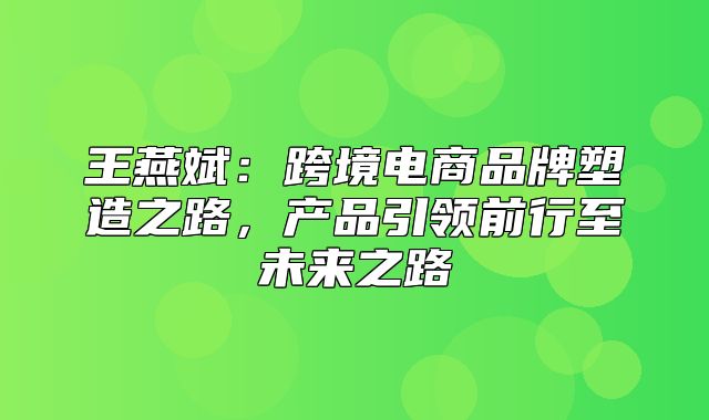 王燕斌：跨境电商品牌塑造之路，产品引领前行至未来之路