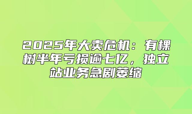 2025年大卖危机：有棵树半年亏损逾七亿，独立站业务急剧萎缩