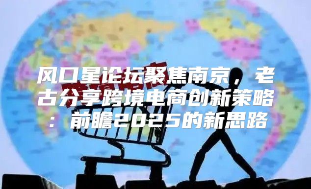 风口星论坛聚焦南京，老古分享跨境电商创新策略：前瞻2025的新思路