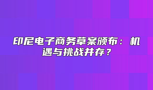 印尼电子商务草案颁布：机遇与挑战并存？