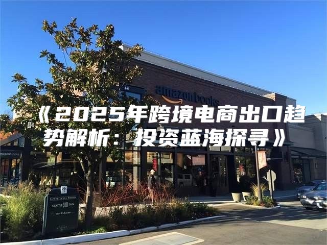 2025年跨境电商出口趋势解析：投资蓝海探寻