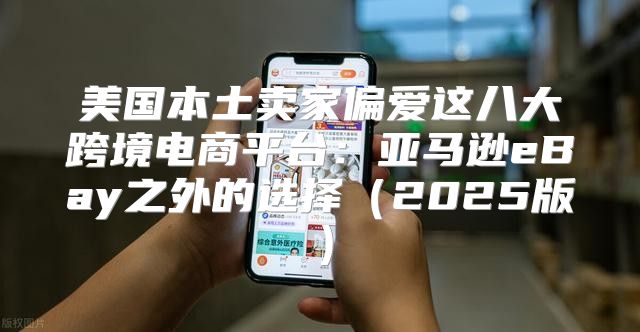 美国本土卖家偏爱这八大跨境电商平台：亚马逊eBay之外的选择2025版