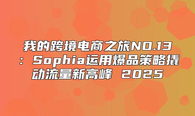 我的跨境电商之旅NO.13：Sophia运用爆品策略撬动流量新高峰 2025