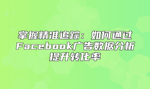 掌握精准追踪：如何通过Facebook广告数据分析提升转化率