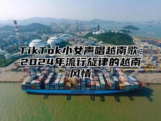 TikTok小女声唱越南歌：2025年流行旋律的越南风情