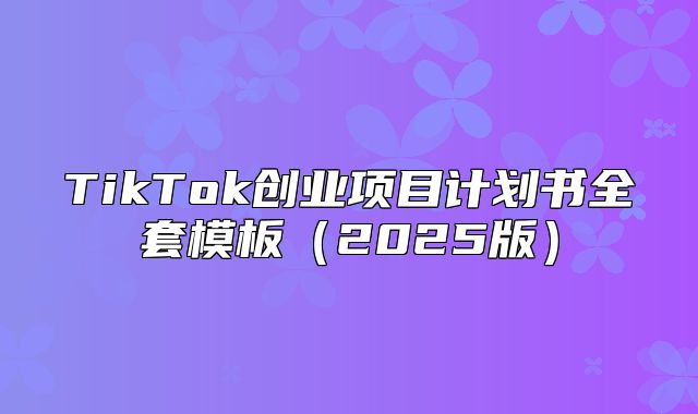 TikTok创业项目计划书全套模板2025版