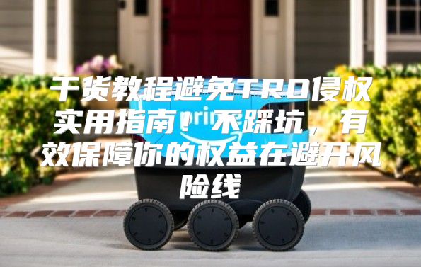 干货教程避免TRO侵权实用指南！不踩坑，有效保障你的权益在避开风险线