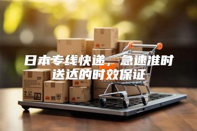 日本专线快递，急速准时送达的时效保证