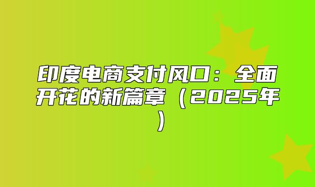 印度电商支付风口：全面开花的新篇章2025年