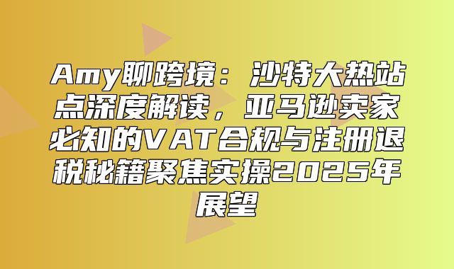 Amy聊跨境：沙特大热站点深度解读，亚马逊卖家必知的VAT合规与注册退税秘籍聚焦实操2025年展望