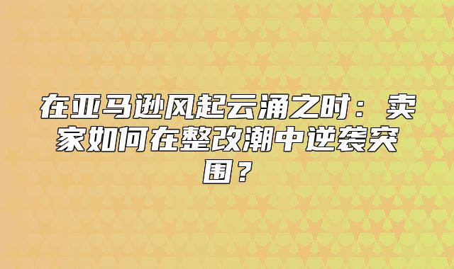 在亚马逊风起云涌之时：卖家如何在整改潮中逆袭突围？