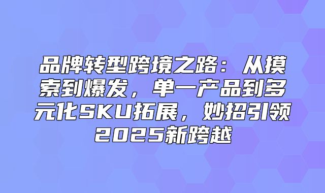 品牌转型跨境之路：从摸索到爆发，单一产品到多元化SKU拓展，妙招引领2025新跨越