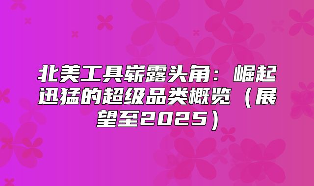北美工具崭露头角：崛起迅猛的超级品类概览展望至2025