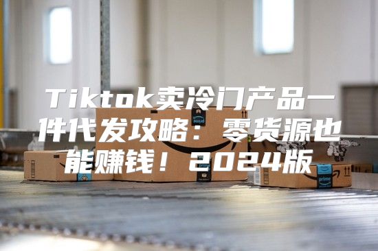 Tiktok卖冷门产品一件代发攻略：零货源也能赚钱！2025版