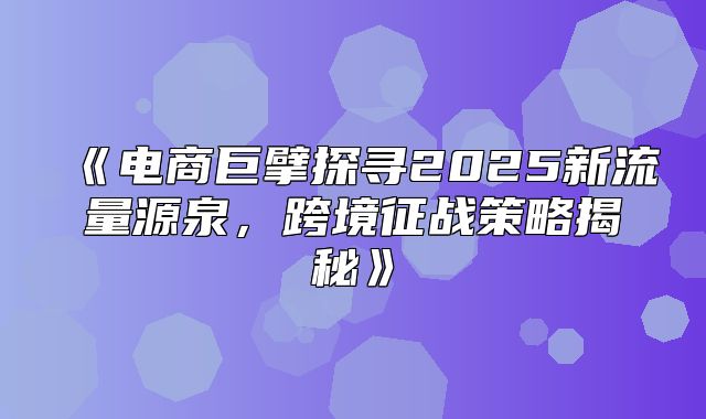 电商巨擘探寻2025新流量源泉，跨境征战策略揭秘