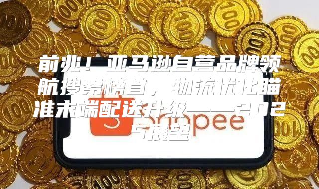前兆！亚马逊自营品牌领航搜索榜首，物流优化瞄准末端配送升级——2025展望