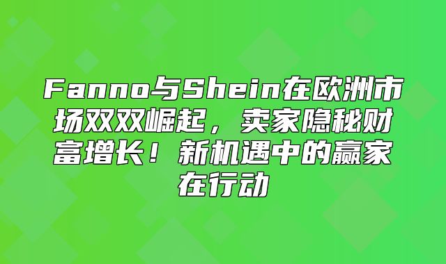 Fanno与Shein在欧洲市场双双崛起，卖家隐秘财富增长！新机遇中的赢家在行动