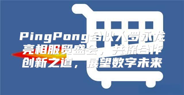 PingPong合伙人罗永龙亮相服贸盛会，共探合作创新之道，展望数字未来