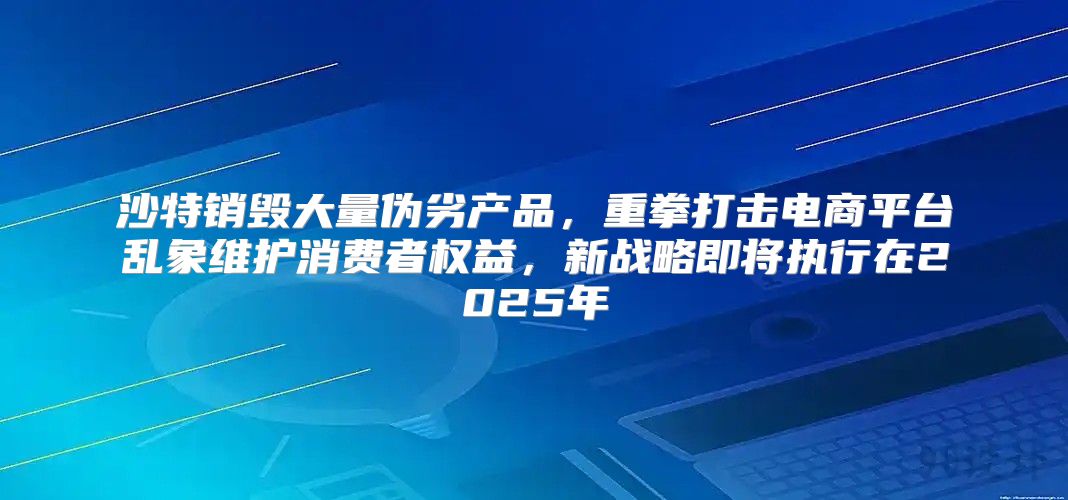 沙特销毁大量伪劣产品，重拳打击电商平台乱象维护消费者权益，新战略即将执行在2025年