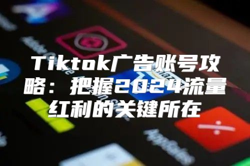 Tiktok广告账号攻略：把握2025流量红利的关键所在