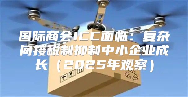 国际商会ICC面临：复杂间接税制抑制中小企业成长2025年观察