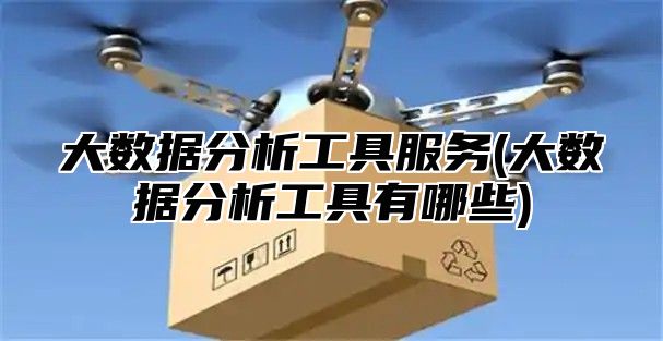大数据分析工具服务(大数据分析工具有哪些)