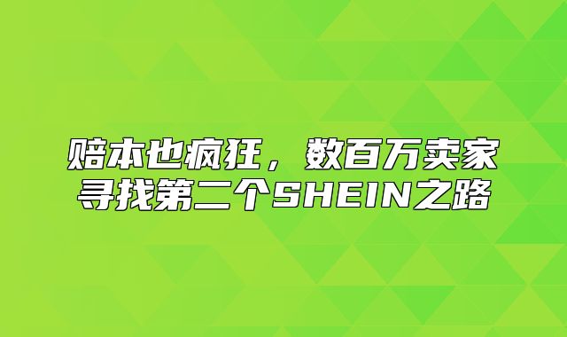 赔本也疯狂，数百万卖家寻找第二个SHEIN之路