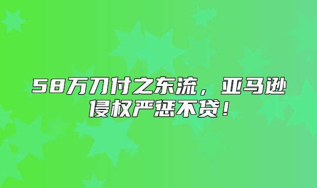 58万刀付之东流，亚马逊侵权严惩不贷！
