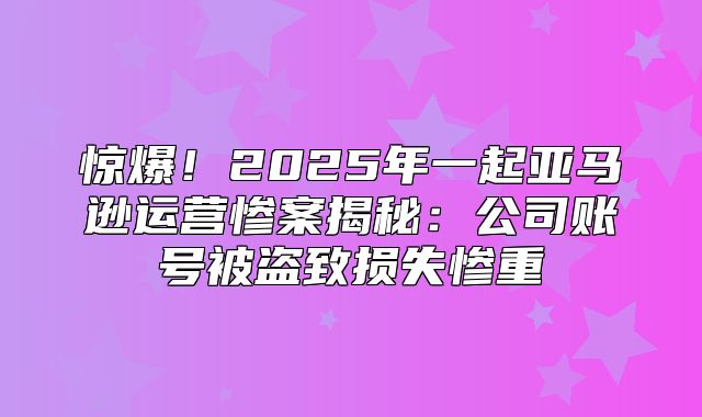 惊爆！2025年一起亚马逊运营惨案揭秘：公司账号被盗致损失惨重