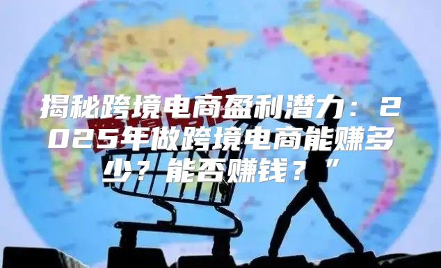 揭秘跨境电商盈利潜力：2025年做跨境电商能赚多少？能否赚钱？”