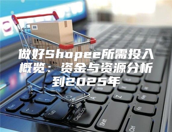做好Shopee所需投入概览：资金与资源分析到2025年