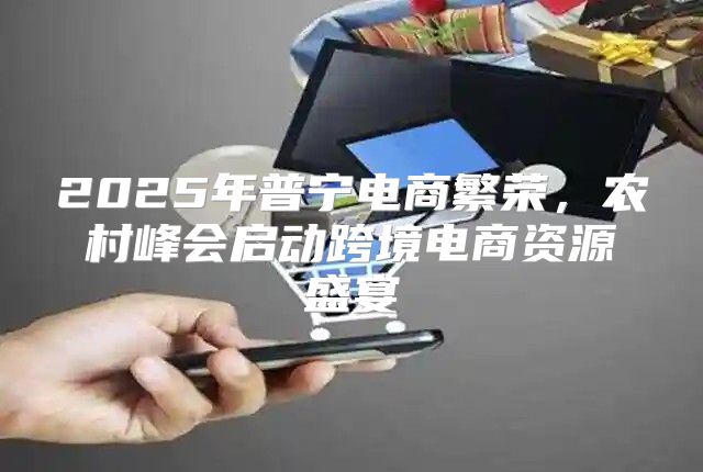 2025年普宁电商繁荣，农村峰会启动跨境电商资源盛宴