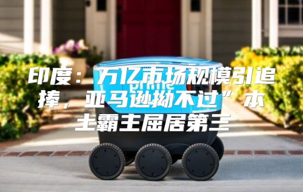 印度：万亿市场规模引追捧，亚马逊拗不过”本土霸主屈居第三