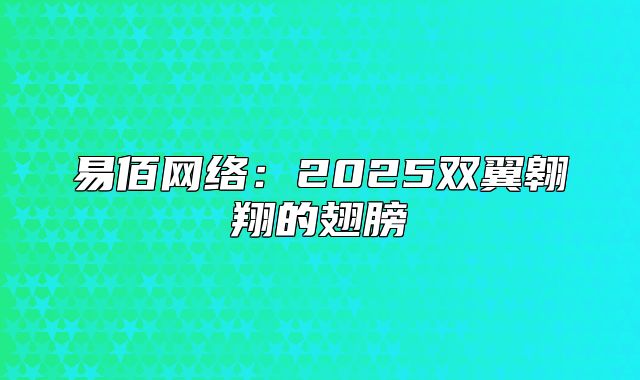 易佰网络：2025双翼翱翔的翅膀