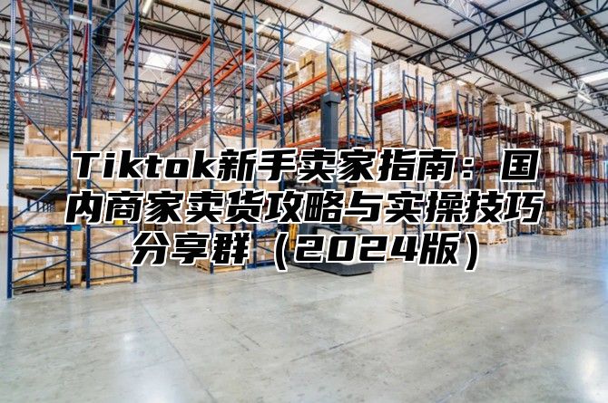 Tiktok新手卖家指南：国内商家卖货攻略与实操技巧分享群2025版