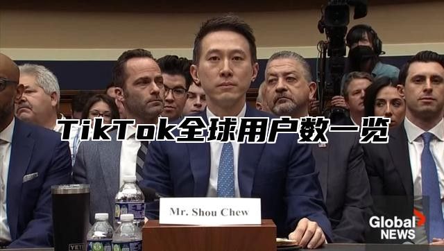 TikTok全球用户数一览
