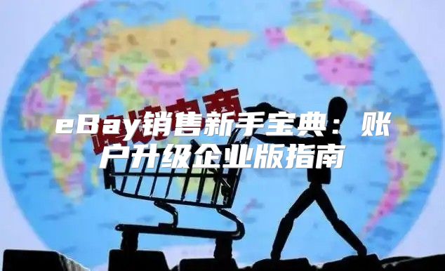 eBay销售新手宝典：账户升级企业版指南