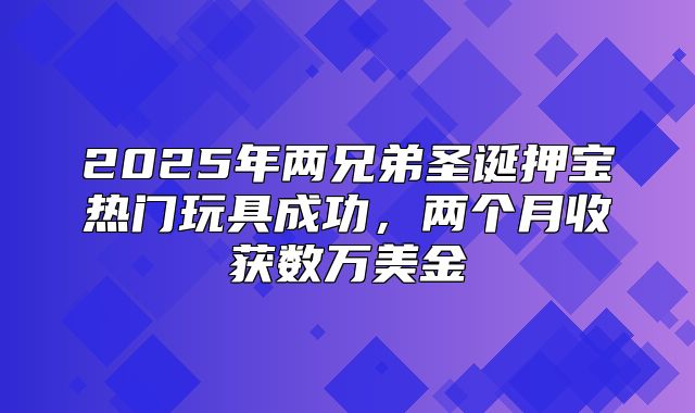 2025年两兄弟圣诞押宝热门玩具成功，两个月收获数万美金