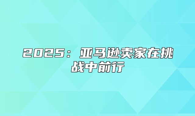 2025亚马逊卖家在挑战中前行