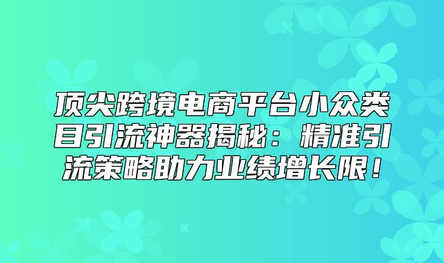 顶尖跨境电商平台小众类目引流神器揭秘：精准引流策略助力业绩增长限！