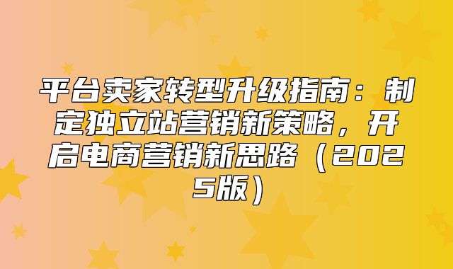 平台卖家转型升级指南：制定独立站营销新策略，开启电商营销新思路2025版