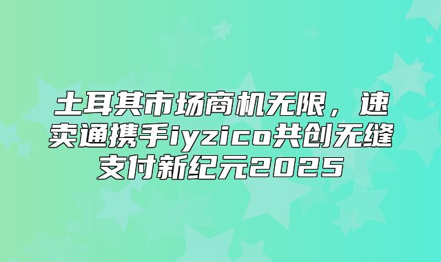 土耳其市场商机无限，速卖通携手iyzico共创无缝支付新纪元2025