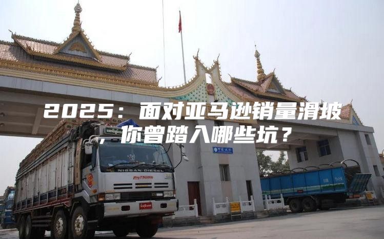 2025面对亚马逊销量滑坡，你曾踏入哪些坑？