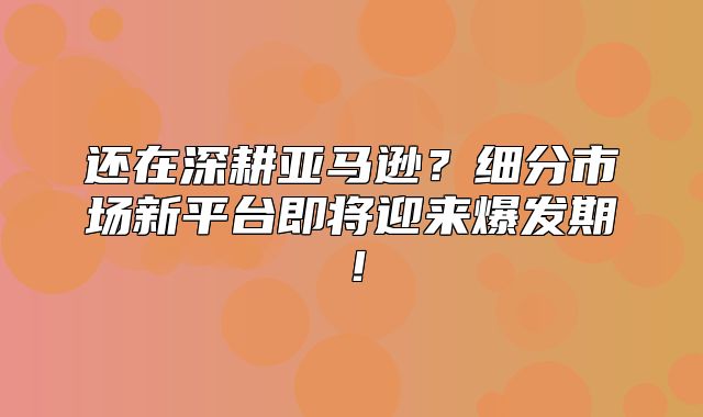 还在深耕亚马逊？细分市场新平台即将迎来爆发期！