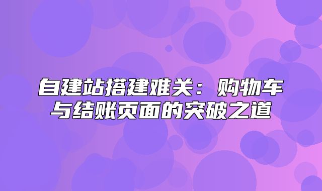 自建站搭建难关：购物车与结账页面的突破之道