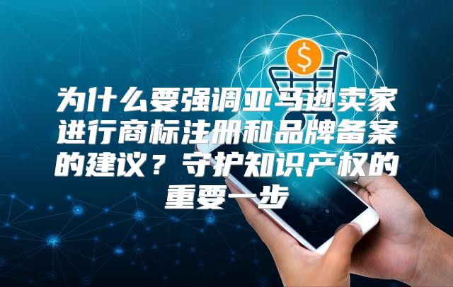 为什么要强调亚马逊卖家进行商标注册和品牌备案的建议？守护知识产权的重要一步